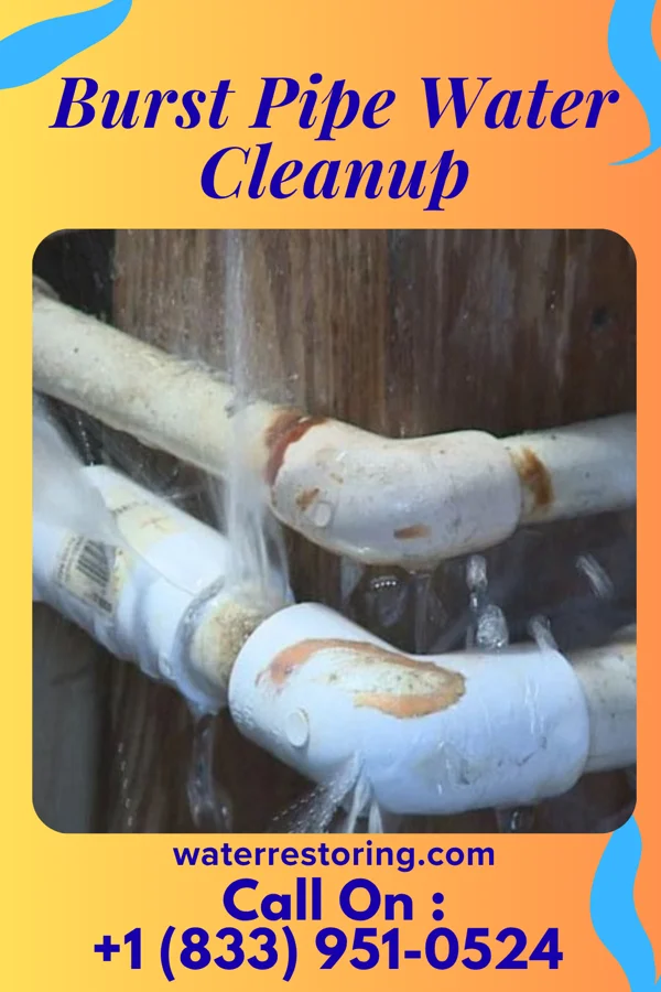 Burst Pipe Water Cleanup in North Freedom, WI