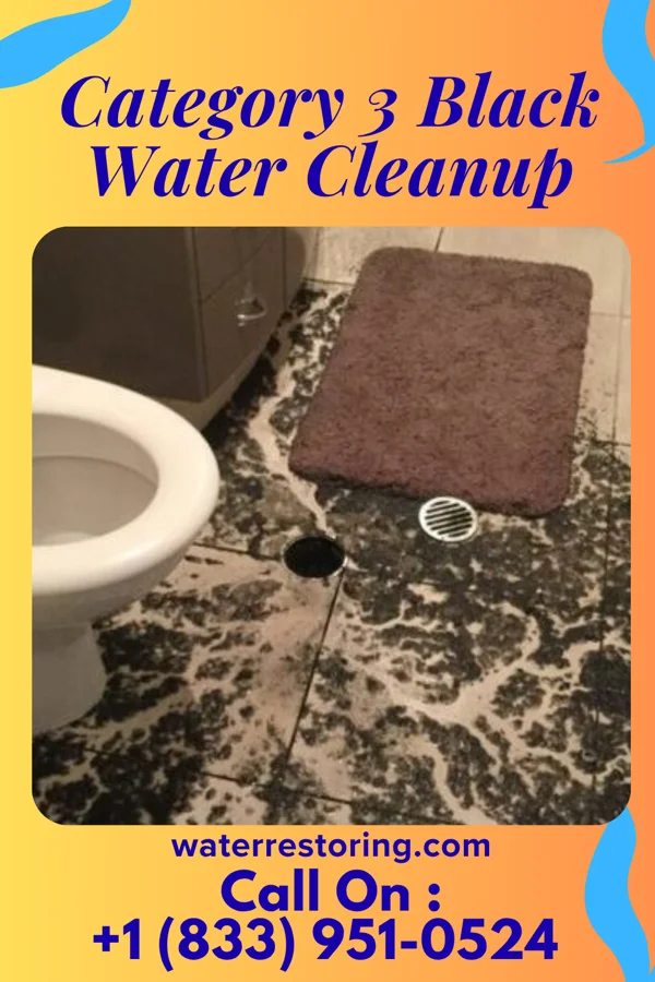 Category 3 Black Water Cleanup in North Freedom, WI