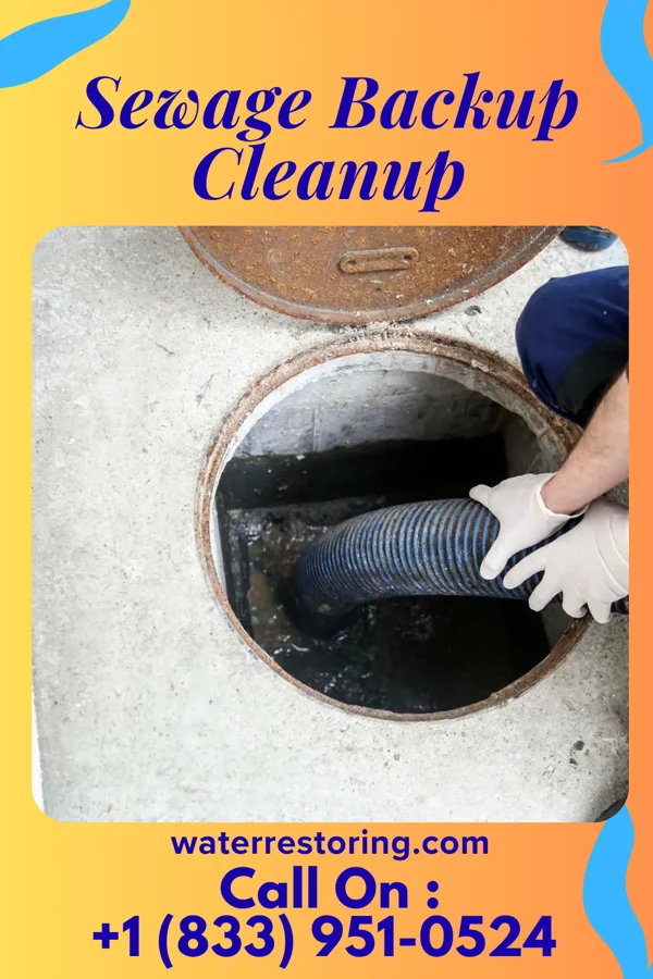 Sewage Backup Cleanup in North Freedom, WI