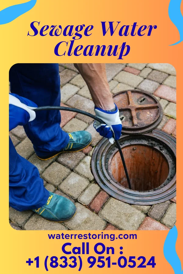 Sewage Water Cleanup in North Freedom, WI